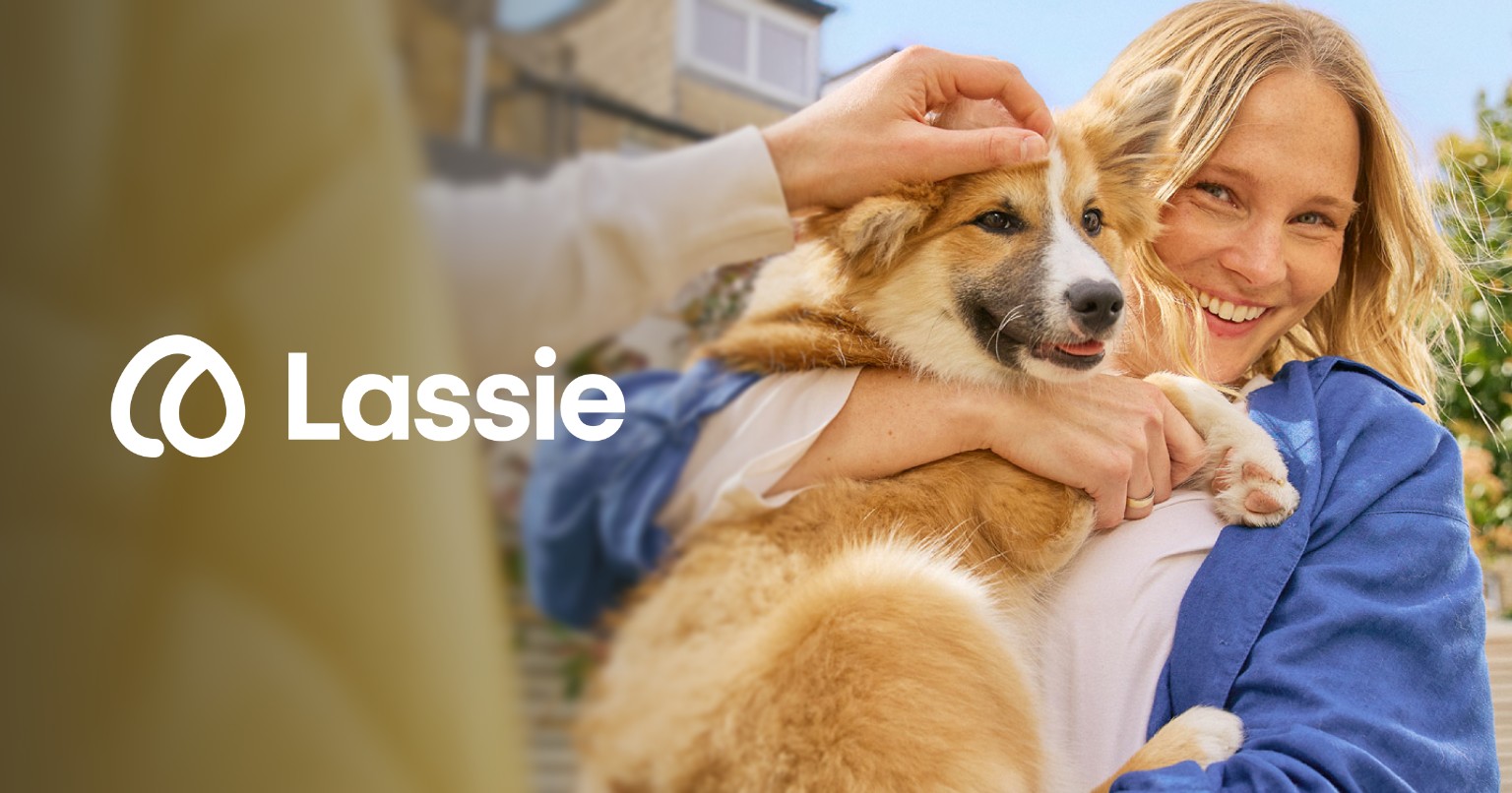 Lassie Bildmotiv mit Hund