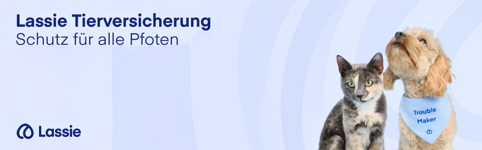 Lassie Tierversicherung – Schutz für alle Pfoten